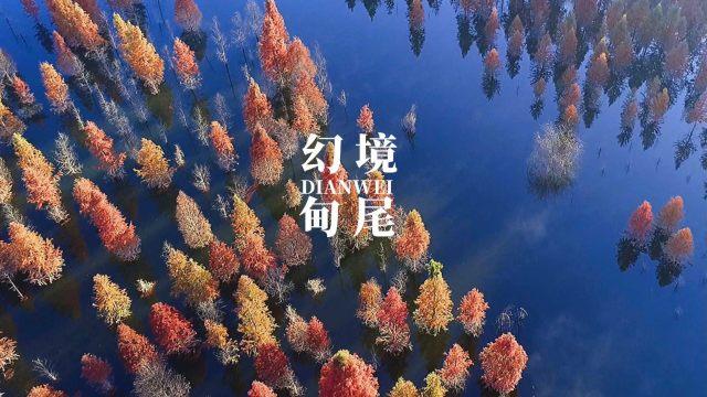 埋头苦干7年，兰州大学女博士发表世界级论文，如今她怎么样了？