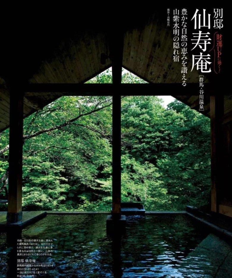 爱吃叶子的毛毛虫