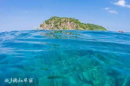 妈咪爱益生菌怎么服用效果更好？游戏画面