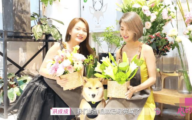 迷雾世界