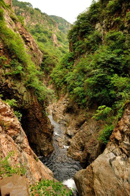 香泉镇:清污除垢辞旧岁 亮化美化迎新春