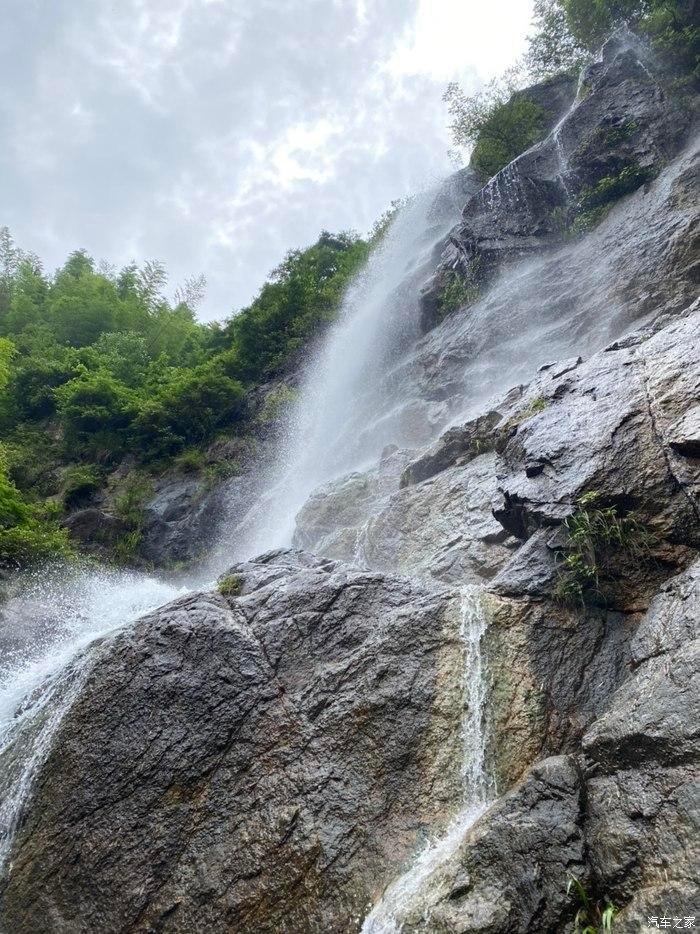 飞扬的独眼鸟