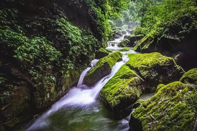 彭昱畅送礼遭群嘲,新电影宣传无人问津,黄磊等好友齐沉默