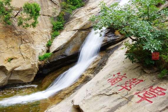 救援受困的鬃狼