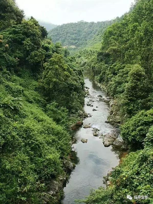 黑豆怎么样能煮烂啊游戏画面