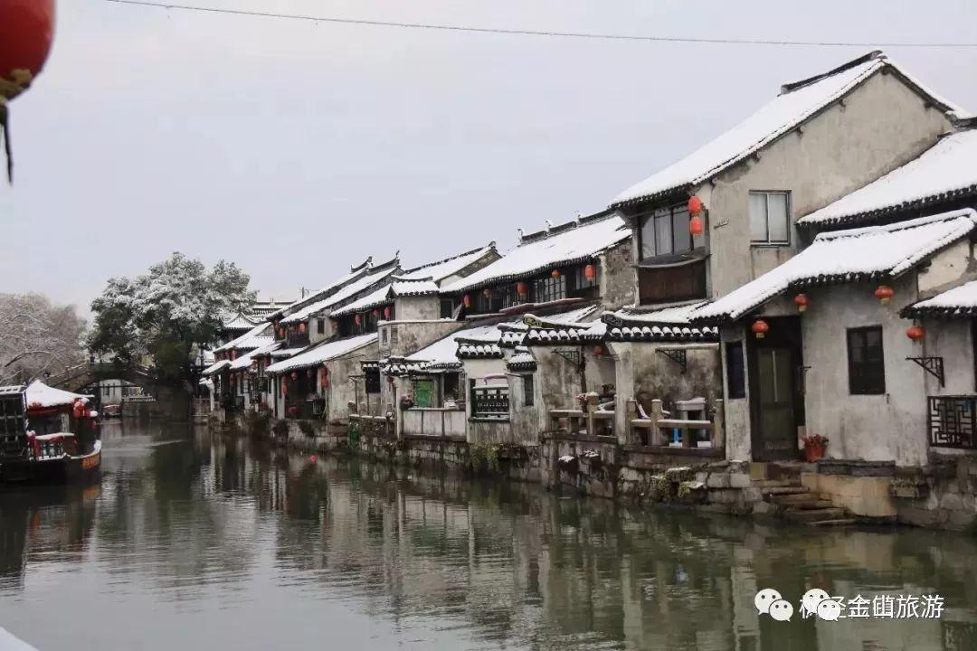 救援受困的萌兔